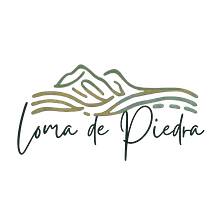 Logo. Un proyecto de Ilustración digital de Andres Tapia Moscoso - 02.10.2025