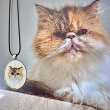 Mini ritratto di gatto . Broderie, Design de bijuterii și Design textil de Martina Cirronis - 10.04.2025