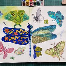 Illustration Techniques to Unlock your Creativity Ein Projekt aus dem Bereich Bildende Künste, Traditionelle Illustration und Sketchbook von Elizna Venter - 06.10.2025
