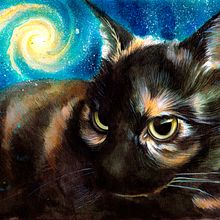 Black cat and spiral portrait drawing. Ilustração tradicional, Ilustração com tinta, Ilustração editorial, Pintura em aquarela, e Desenho realista projeto de Mentiradeloro Esther Cuesta - 08.10.2025