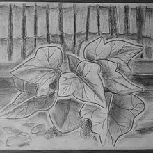 Dibuix artístic - Dibuixos al pati. Un proyecto de Ilustración tradicional, Dibujo y Dibujo a lápiz de Laia Cuesta - 10.10.2025
