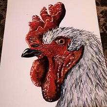 Rooster in aquarel . Un progetto di Pittura ad acquerello e Disegno artistico di Aurélie De Backer - 13.10.2025