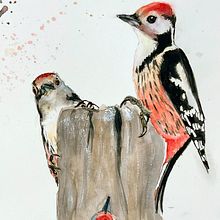 Pic mar à l'aquarelle - étude. Projekt z dziedziny Trad, c, jna ilustracja, Malowanie akwarelą, R, sunek realist, czn, Ilustracja naturalist i czna użytkownika p_m_guinchard - 13.10.2025