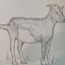 Activitat 2. Dibuix Art.. Projekt z dziedziny  R i sunek użytkownika lln_s - 15.10.2025