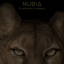 Proyecto final: NUBIA. Un proyecto de Br, ing e Identidad, Teoría del color, Diseño, Gestión del diseño, Diseño digital, Diseño editorial, Diseño gráfico, Diseño de logotipos, Tipografía y Diseño tipográfico de Patricia Díaz - 16.10.2025