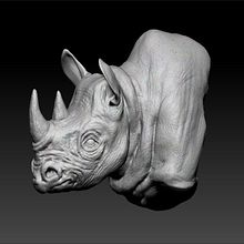 Rhino Bust. Projekt z dziedziny  Modelowanie 3D użytkownika Ollie Walsh - 16.10.2025
