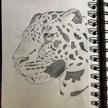 jaguar. Desenho projeto de Anna Isabel molina - 17.10.2025