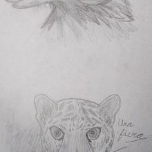 Proyecto final. Drawing, Pencil Drawing, Design, and Traditional illustration project by dafoolishfoolisher - 10.17.2025