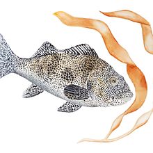 Print Fine Art de Acuarelas. Un proyecto de Bellas Artes, Fotografía y Retoque fotográfico de Mónica Aasgaard Paredes - 19.10.2025