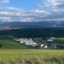 Demetrica. Un projet de Photographie, Pa , et sagisme de maddocaddo - 22.10.2025