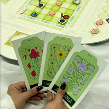 Flora nativa Argentina. Projekt z dziedziny Ilustracja c, frowa, Kreat, wność, Projektowanie graficzne i Projektowanie zabawek użytkownika Rocío Pérez - 22.10.2025