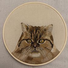 Gata persa. Un proyecto de Bordado, Ilustración naturalista				 y Diseño textil de fatinharocha1 - 24.10.2025