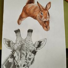 Dibuix artístic: Estudi de dos animals. Projekt z dziedziny  R, sunek art, st, czn, R, sunek realist i czn użytkownika Yasmín Torres Cortés - 26.10.2025