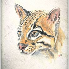 Tête d'ocelot à l'aquarelle Ein Projekt aus dem Bereich Realistische Zeichnung, Traditionelle Illustration, Naturalistische Illustration und Aquarellmalerei von Domi B - 27.10.2025