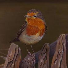 Guardián de la cerca. Fine Arts, Naturalistic Illustration, Oil Painting, and Painting project by Elena Bartolomé - 10.30.2025