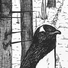 Pinguim no Seco Anda? Ein Projekt aus dem Bereich Artistische Zeichnung, Zeichnung, Illustration mit Tinte, Naturalistische Illustration, Sketchbook und Skizzenentwurf von Marcelo de Freitas - 02.11.2025