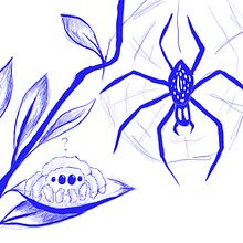 Elu - La araña que no era como las demas. Character Design, Children's Illustration, Children's Literature, Content Writing, Creative Writing, Digital Illustration, Drawing, Fine Arts, Picturebook, and Writing project by Josefina Cabrera - 11.05.2025