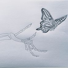 Proyecto de Dibujo anatómico de extremidades, manos y pies. Artistic Drawing, Drawing, Figure Drawing, Fine Arts, Ink Illustration, Pencil Drawing, Portrait Drawing, Realistic Drawing, Sketchbook, and Sketching project by Cami Piscis Halite - 11.10.2025