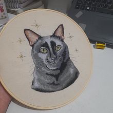 Embroidery project . Bordir, Ilustrasi Naturalistik, Dan Desain Tekstil proyek oleh m_caroline_souza - 11.12.2025