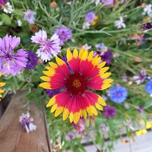 Llum i ombres. Un projet de Photographie artistique de Saray Lucena Boleda - 14.11.2025