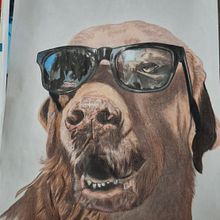 Proyecto Samuel. Ilustração tradicional e Ilustração naturalista projeto de rinnovocostarica - 16.11.2025