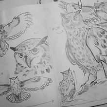 Dibuix artístic - Creació d'un animal fantàstic . Desenho, Desenho a lápis, Sketchbook, e Desenho artístico projeto de Laia Cuesta - 16.11.2025