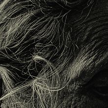 FOTOS 2025. Een project van Fotografische compositie, Fotografie y Digitale fotografie van Ademir Quintana - 18.11.2025