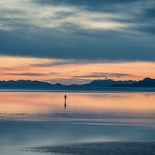 Humpback Whale Watercolour Final Project. Naturalistic Illustration, Painting, Watercolor Painting, and Fine Arts project by jennifer_baron - 11.18.2025