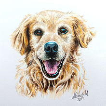 Retratos de mascotas en acuarela. Een project van  Portrettekening, Aquarelschilderen, Traditionele illustratie y Realistische tekening van Ana Galván - 20.11.2025