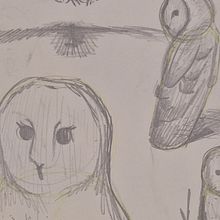 DIBUIX ARTÍSTIC: Animal fantàstic. Artistic Drawing project by anna herrerías soto - 11.21.2025