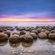 Lily's Flowers. Fine Arts, Drawing, Traditional illustration, Painting, Watercolor Painting, and Botanical Illustration project by jennifer_baron - 11.21.2025