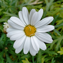 Sèrie fotogràfica de color. Un progetto di Fotografia di Lucía Aranda - 22.11.2025