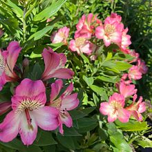 sèrie fotogràfica color. Fotografia projeto de Alba - 22.11.2025