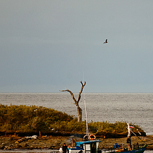 Historias ancladas en el puerto. Un proyecto de Fotografía y Fotografía digital de alvarezcae - 23.11.2025