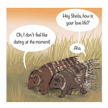 Funny animal comic: porcupines dating . Comic, Ilustrație tradițională, Narrativ, Stor, board, Stor și telling de Andreas Adam - 11.23.2025