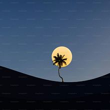 Aerolife. Un progetto di Web development, Web design, E-commerce, Marketing digitale e Business di Daniel Douglas Leon Lozano - 27.11.2025