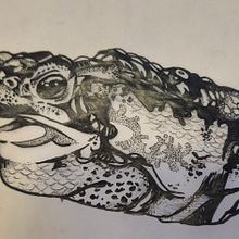 tattoo sapo. Desenho de tatuagens, Ilustração tradicional e Ilustração digital projeto de jubecckz - 29.11.2025