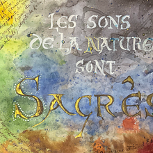 Calligraphie et sons de la Nature. Un projet de Calligraphie et Illustration à l'encre de p_m_guinchard - 30.11.2025