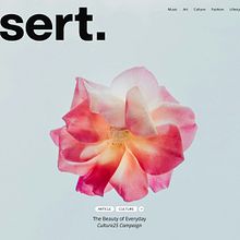 Desert Magazine. Un proyecto de Diseño digital, Diseño de producto digital, UX / UI, Diseño Web y Desarrollo Web de giorgio94 - 01.12.2025