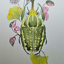 akwarela zuczek . Ilustrasi Botani, Seni Rupa, Ilustrasi Naturalistik, Lukisan, Dan Lukisan Cat Air proyek oleh katun1 - 12.03.2025