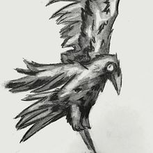 D.A - Dibuix d'un animal. Drawing, and Artistic Drawing project by Félix Durden ;) - 12.03.2025