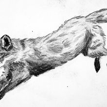 D.A - Dibuix d'un animal (pt.2). Drawing, and Artistic Drawing project by Félix Durden ;) - 12.03.2025