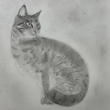 Conclusão do Curso. Drawing, Fine Arts, Portrait Drawing, and Naturalistic Illustration project by rafaeldutragondim - 12.06.2025