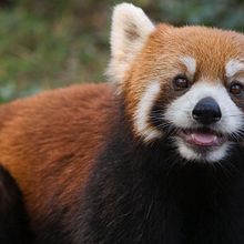 La basura en el barrio: un problema que crece cada día. Creative Consulting, Cop, writing, Creativit, Stor, telling, and Advertising project by correonavalcesar - 12.11.2025