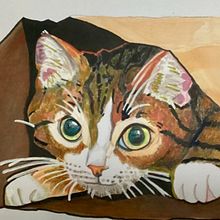 Let the cat out of the bag . Drawing project by Xenia Katsarou - 12.12.2025
