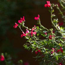 Wonder Ein Projekt aus dem Bereich Fotoretuschierung und Außenfotografie von Hannah Hugo - 13.12.2025