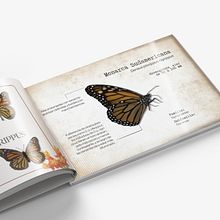 Stadtschmetterlinge von Cuenca Ein Projekt aus dem Bereich Grafikdesign, Verlagsdesign und Digitale Illustration von Katherine Segarra - 20.12.2025