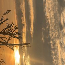 youtube. Ilustração tradicional projeto de genduontop69 - 21.12.2025