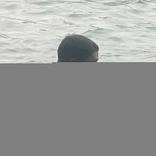 Retrato fotográfico intimista. Photograph, Fine-Art Photograph, Portrait Photograph, Photographic Lighting & Interior Photograph project by Amanda Evylly Lino da Rocha - 12.22.2025