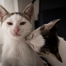 Caos y orden. Composição fotográfica, Fotografia, e Fotografia digital projeto de Mario Alberto Marquez Ramirez - 23.12.2025